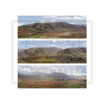 The Mountains Large Photo Backscene (2744x304mm)