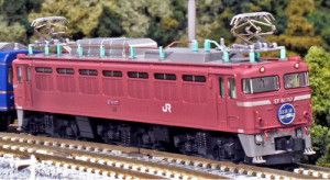 JR EF81 Electric Locomotive