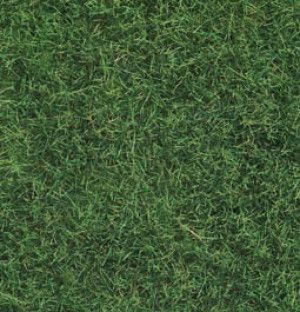 Light Green Wild Grass 6mm (50g)