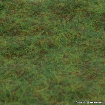 Summer Green Grass Fibres 2.5mm (35g)