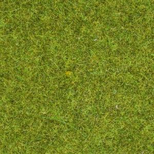 Meadow Scatter Grass 2.5mm (120g)