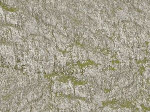 Wrinkle Rocks Seiser Alm 45x25.5cm