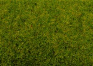 Spring Meadow Scatter Grass 2.5mm (20g)