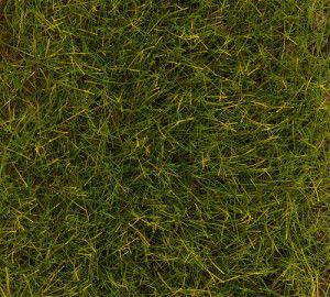 Summer Meadow 12mm Premium Ground Cover Fibres (30g)