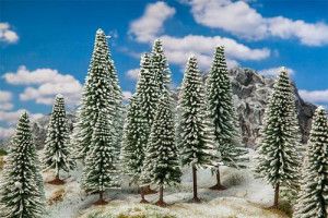 Snow Covered Fir Trees (18)