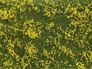 Yellow Meadow Groundcover Foliage 12x18cm