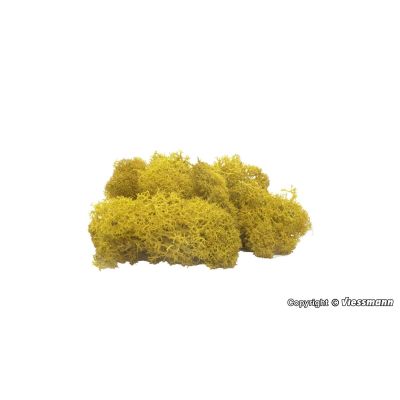 Yellow Moss (40g)