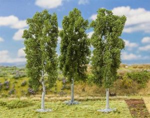 Beech Trees 150mm (3)