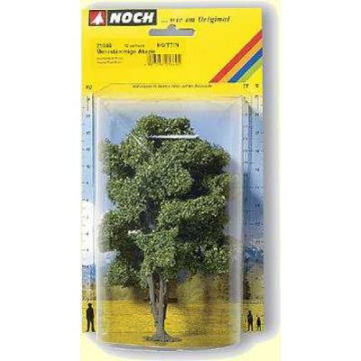 Acacia Profi Tree 15cm