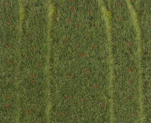 Grainfield with Poppies Landscape Segment 210x148x3mm