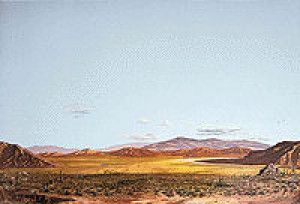 Instant Horizons Background Saguaro Desert 60x90cm