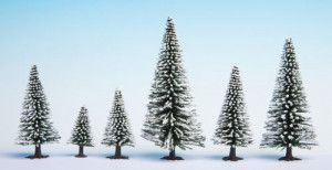 Snow Fir (25) Hobby Trees 3.5-9cm