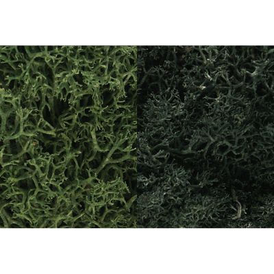 Dark Green Mix Lichen