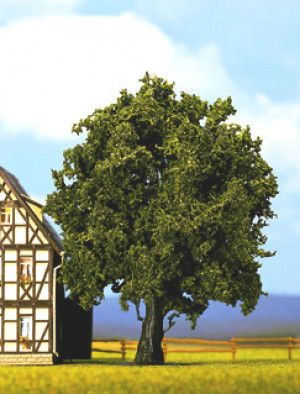Oak Profi Tree 16cm