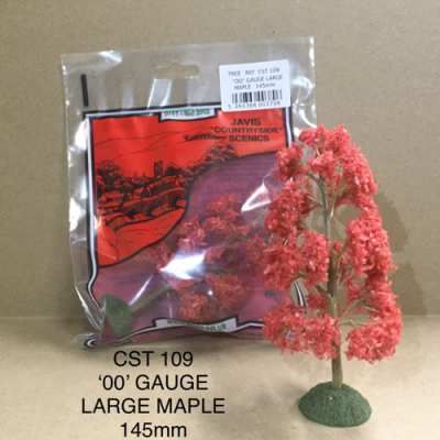 Javis Maple Tree