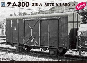 JR Temu 300 Wagon Set (2)