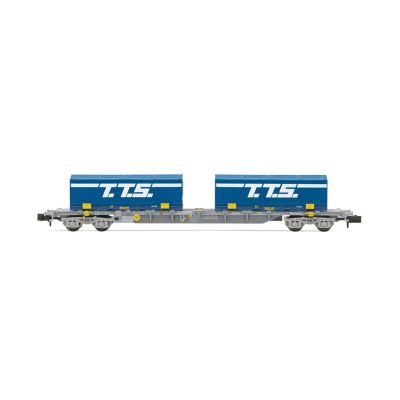 SNCF Bogie Flat Wagon w/2x22' TTS Container Load V
