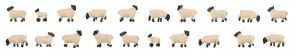 Sheep with Black Heads (2) Figure Set