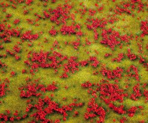 Red Flowering Meadow Landscape Segment 210x148x9mm