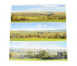 Countryside Large Photo Backscene (2744x304mm)
