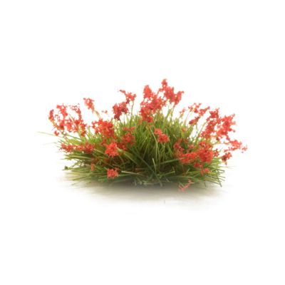 Red Flowering Tufts