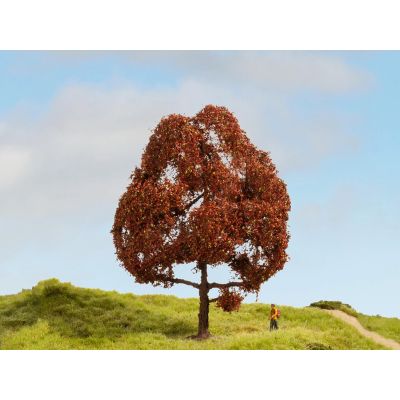 *Copper Beech Master Tree 15cm