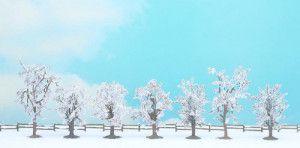 Winter (7) Classic Economy Trees 8-10cm