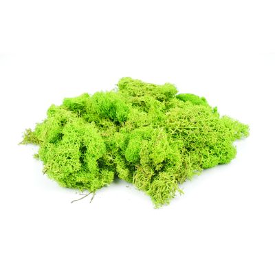 *Light Green Lichen 80g (GM164)