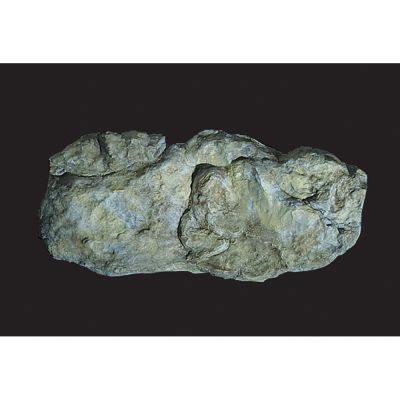 Washed Rock Mould (10½"x5")
