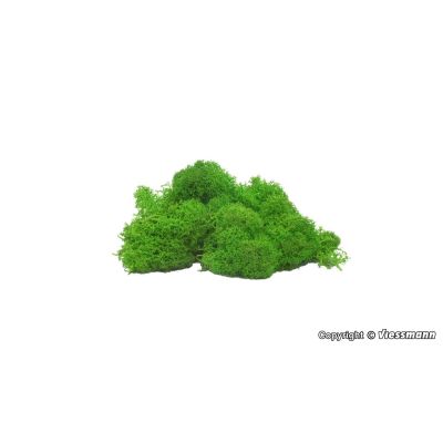 Light Green Moss (40g)