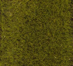 Early Summer Meadow 6mm Premium Ground Cover Fibres (30g)