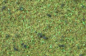 Forest Floor Scatter Grass 2.5mm (120g)