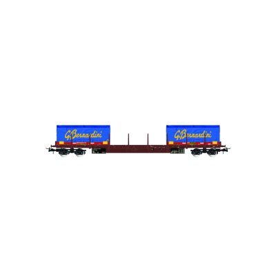 *FS Rgs Bogie Stake Wagon w/2x20' Coil Container Load V