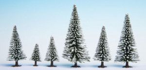 Snow Fir (25) Hobby Trees 5-14cm