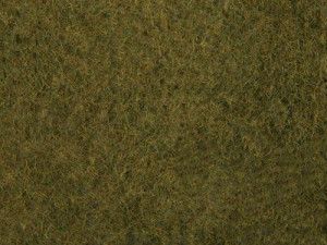 Olive Green Wild Grass Foliage 20x23cm