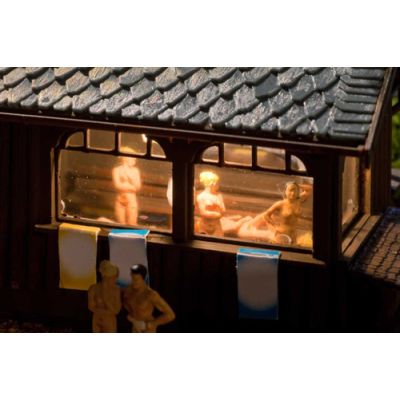 Sauna with Interior and LED Lighting Kit