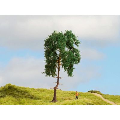 *Pine Master Tree 15cm