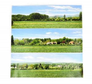 Open Field Small Photo Backscene (1372x152mm)