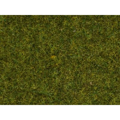 Meadow 2.5mm Static Grass 30g