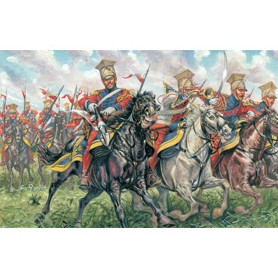 Napoleonic Wars Polish