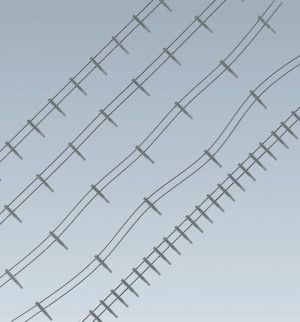 Iron Fence with Concrete Posts Kit 4m Wire 80 Posts I