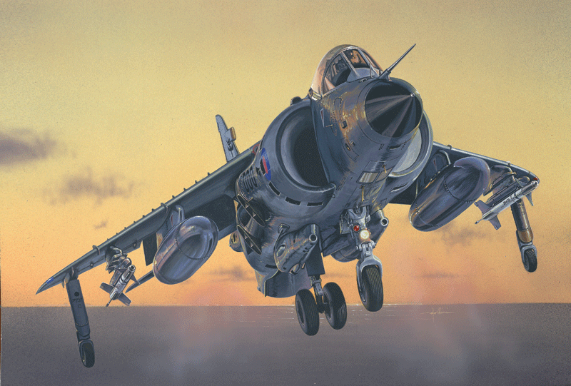 Sea Harrier Frs.1 Falklands