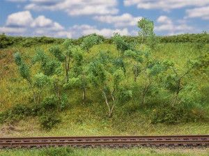 Trees and Shrubs for Forest Edges 75-90mm