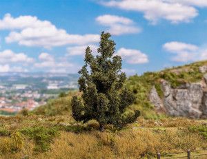 Spruce Trees 110mm (2)