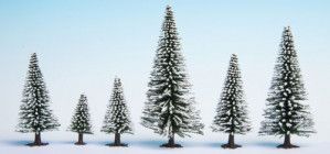 Snow Fir (10) Hobby Trees 5-14cm