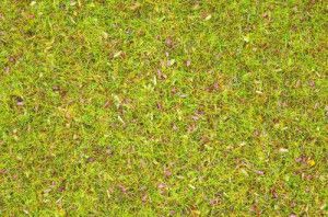 Flowers Scatter Grass 2.5mm (120g)