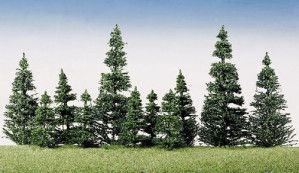 Silver Fir Trees 50-120mm (40)
