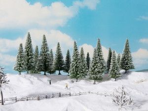 Snowy Fir Standard Trees 14-18cm (6)