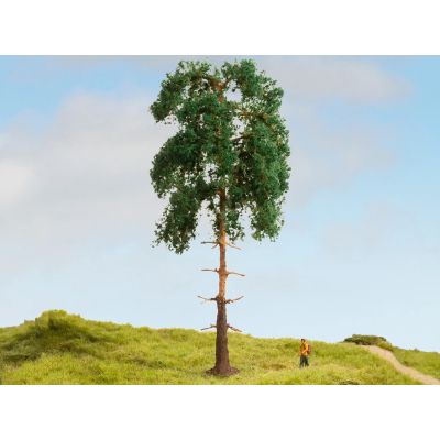 Pine Master Tree 18cm