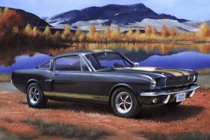 Shelby Mustang GT 350 H (1:24 Scale)